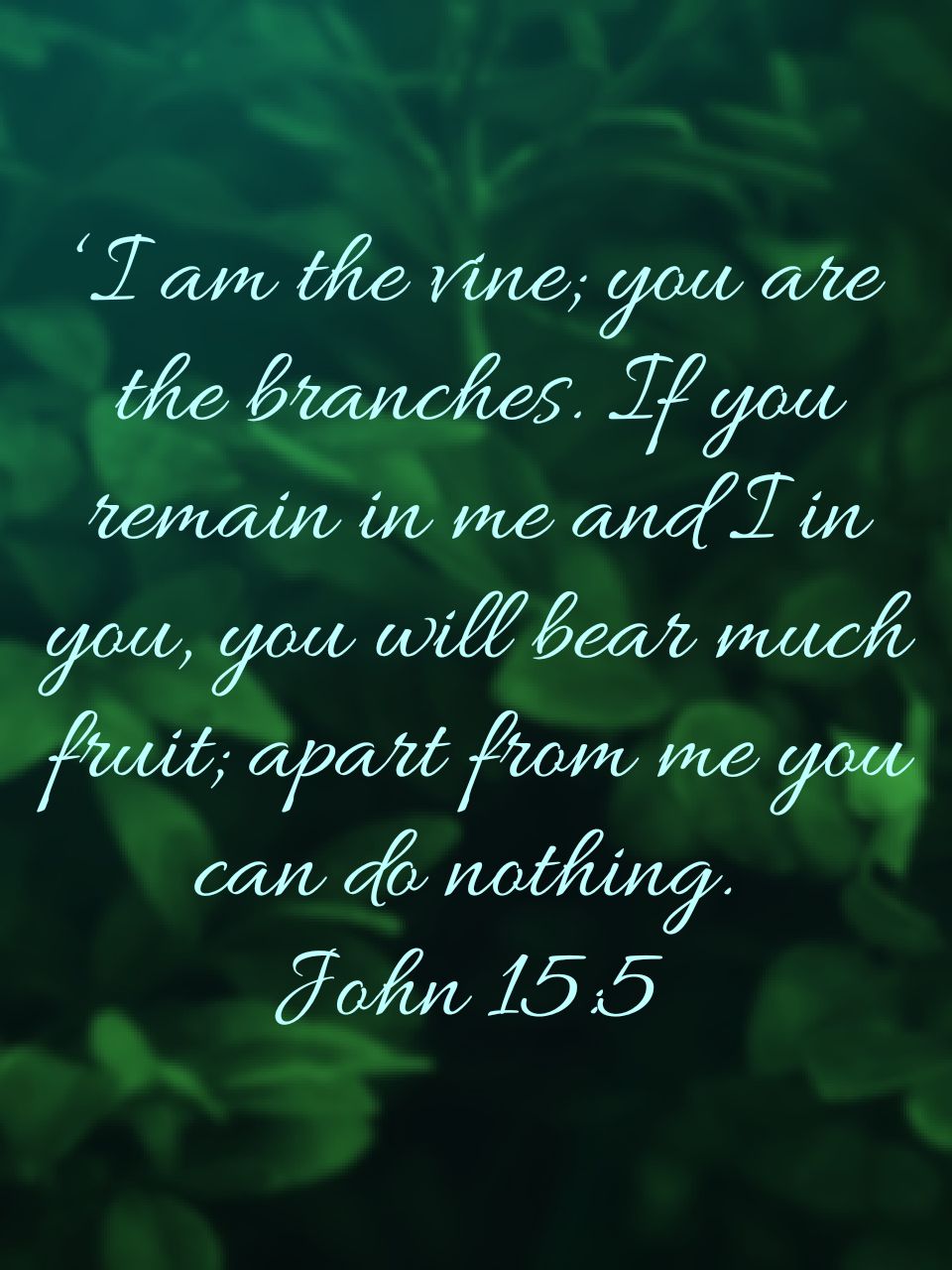 The First and the Last&nbsp;Vine