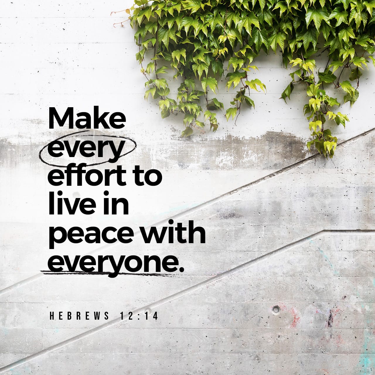 Live in peace with everyone…