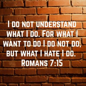 For what I want to do I do not do, but what I hate I do. 16 And if I do what I do not want to do, 